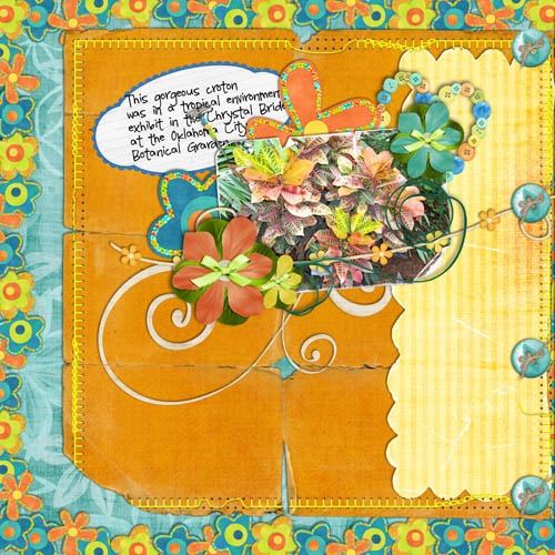 Croton_Gloriosa_copy