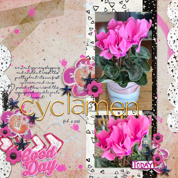 Cyclamen_web