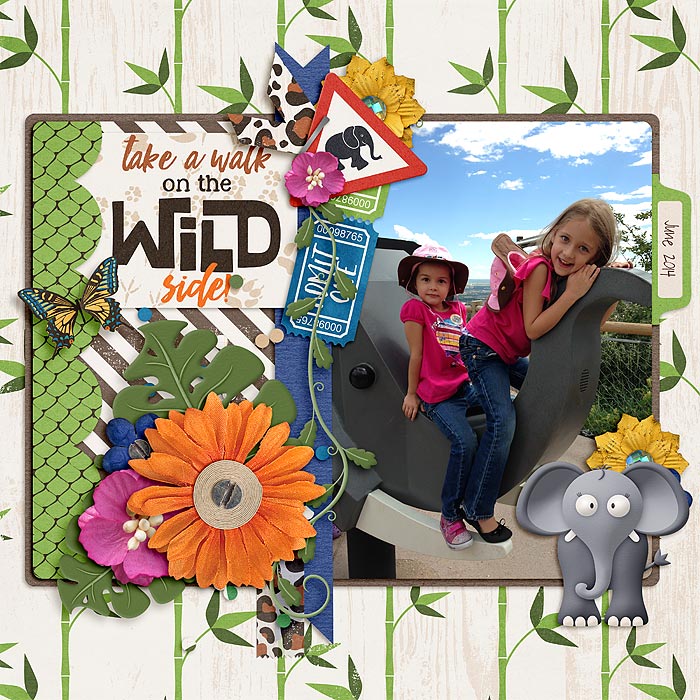 DD--Zoo-copy