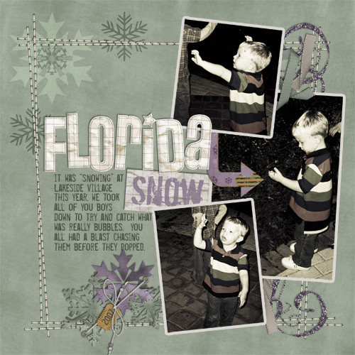 DD-Florida-Snow