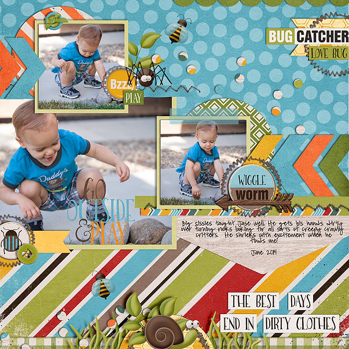 DIGI-JUNE2014-Jase-Bug-Catcher