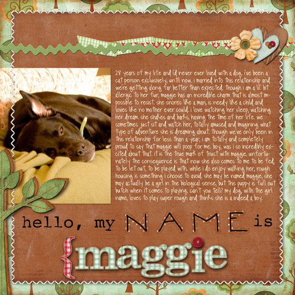 DM-FamilyRoots-1-web