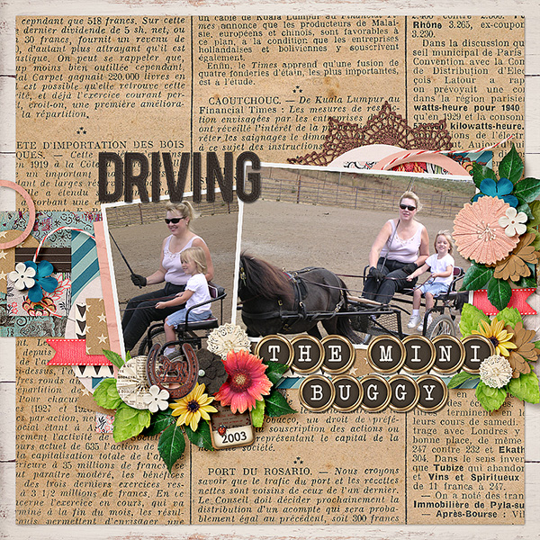 DRIVING-THE-MINI