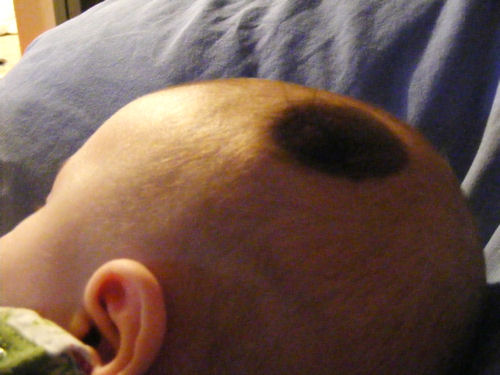 DSCF1171web