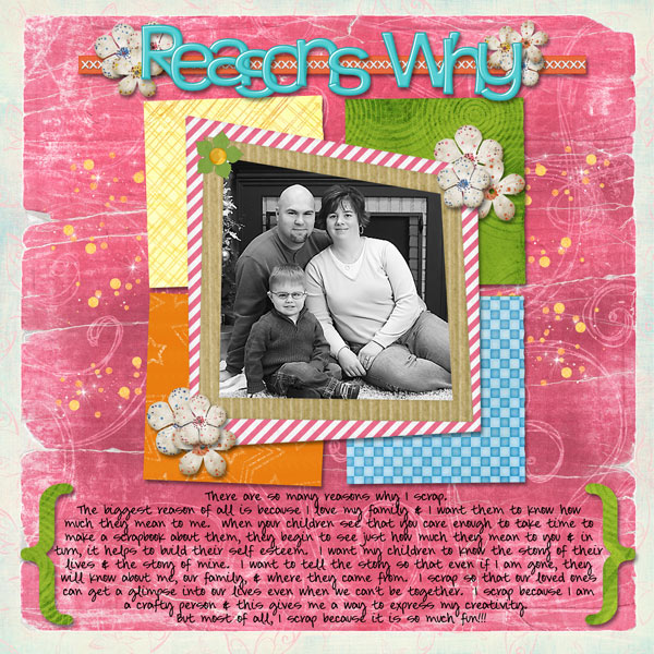 DSD-Reasons-Why-web