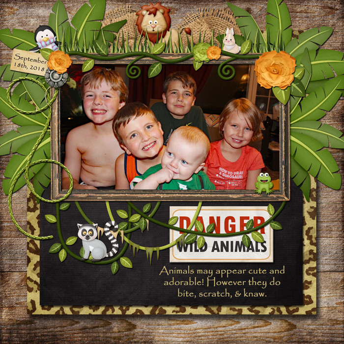 DSD18Danger