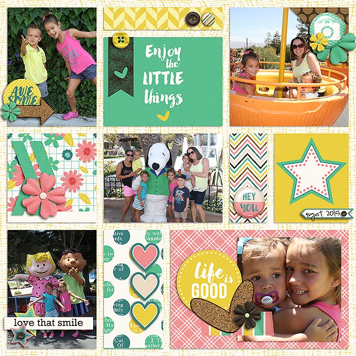 DSI-AUG2015-Great-America-Life-is-Good