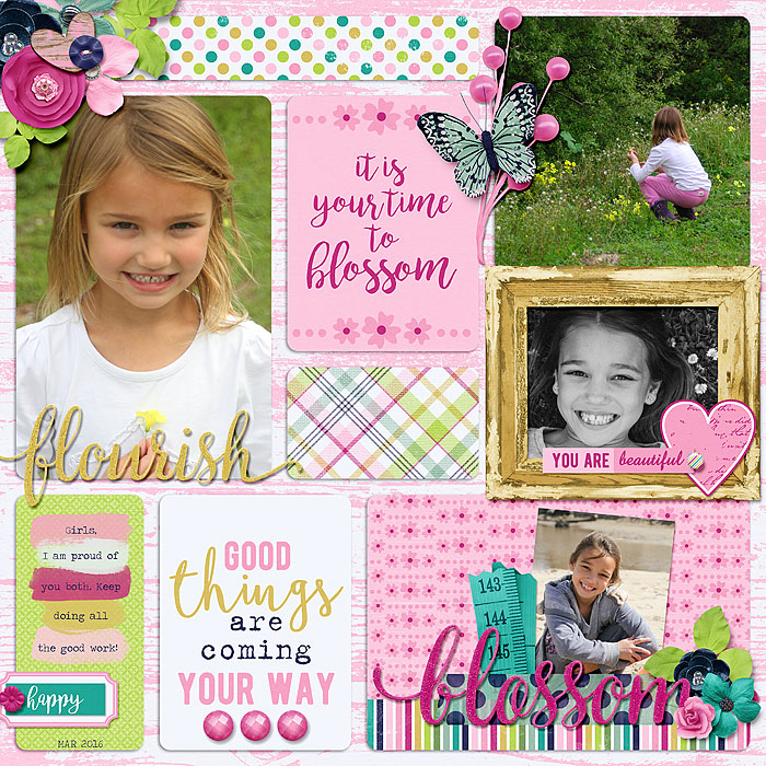 DSI-MAR2016-blossom