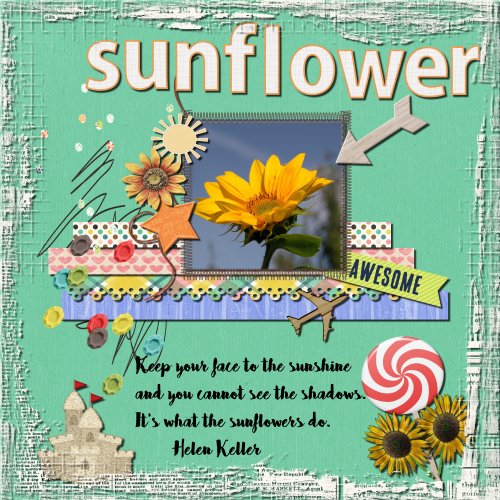 DSI-What_s-In-A-Name-Sunflower-resized