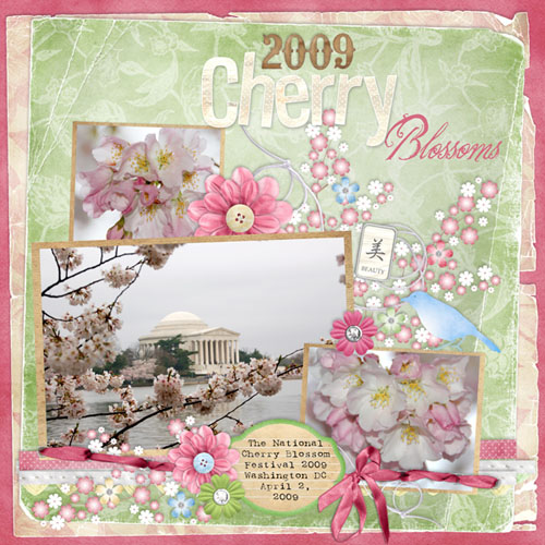DST_2009_Cherry_Blossoms_