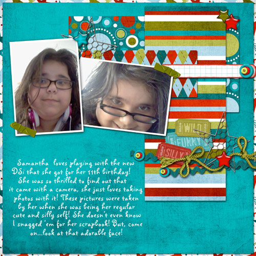 DSi-pics