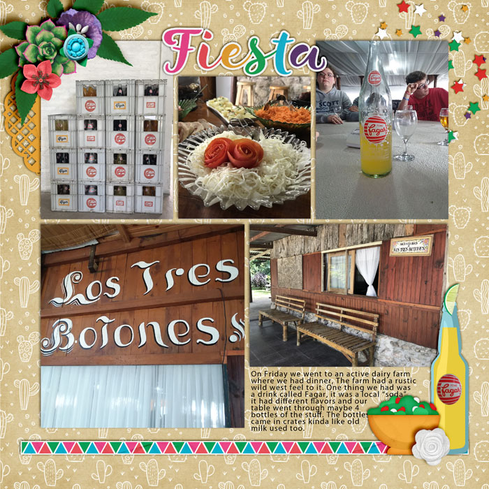 Dawn_Tacoparty_700