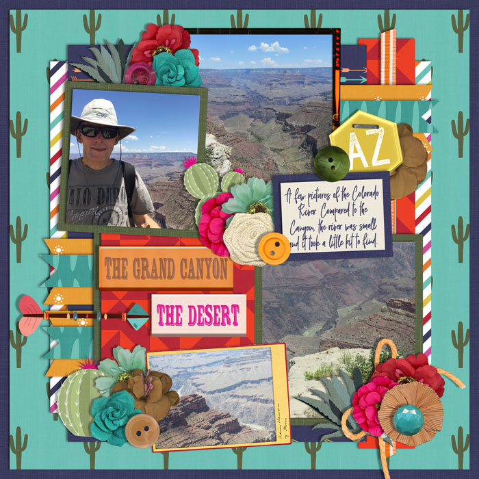 Day-Five-Grand-Canyon-The-Desert
