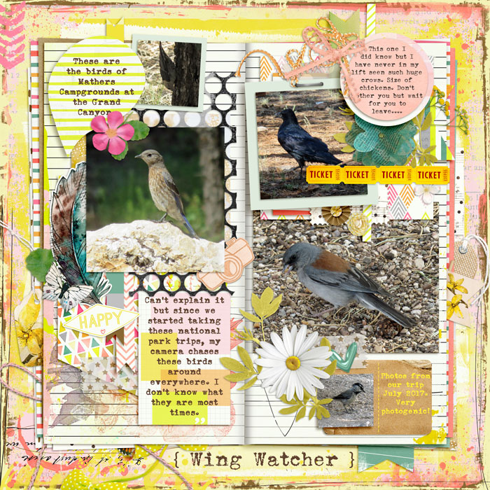 Day-Five-Wing-Watcher