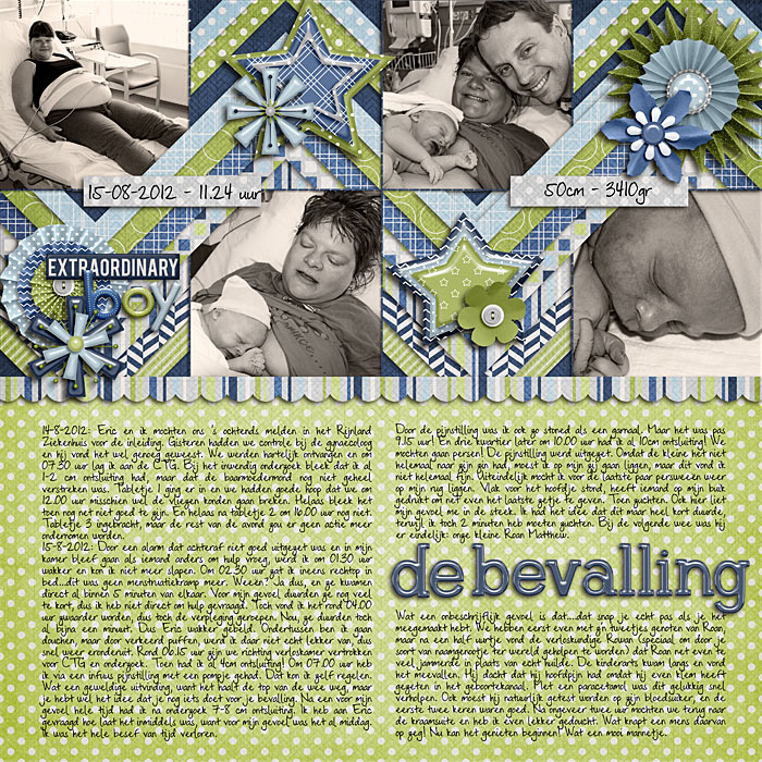 De-bevalling-web