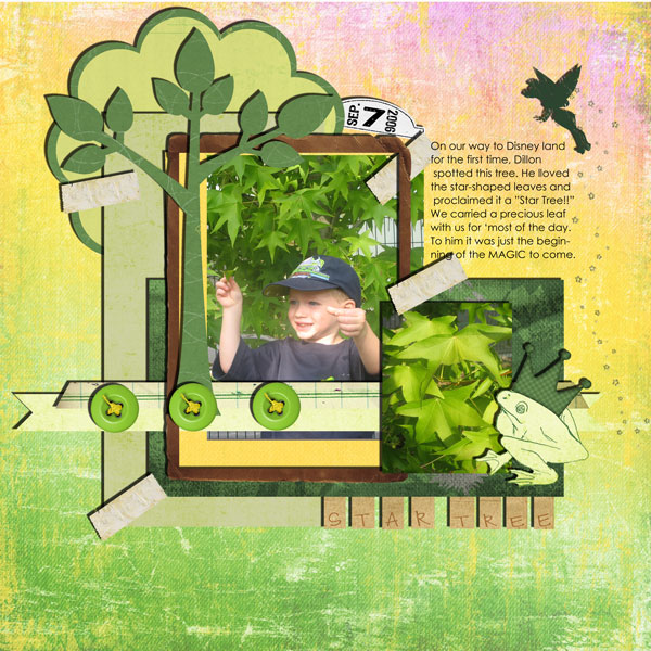 Dillon-Star-Tree--DL06-web