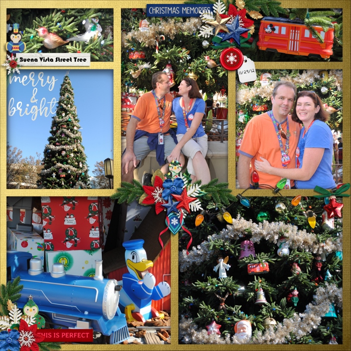 Disney2012_11_33_BuenaVistaStreetTree_700x700_