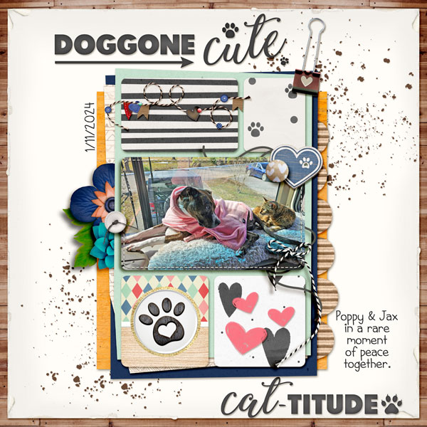 Doggone-Cat
