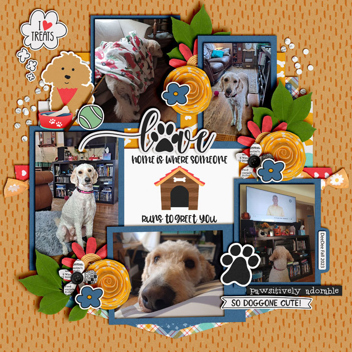 Doggone-Cute-DeeDee-Fall-2023_-smaller