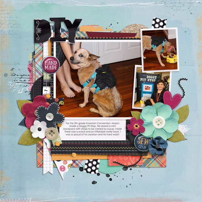 Doggy_DIY