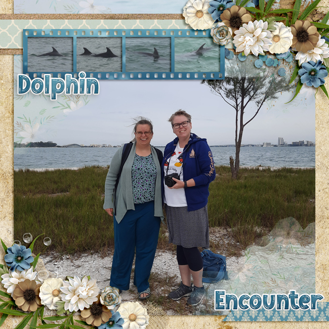 DolphinEncounterweb