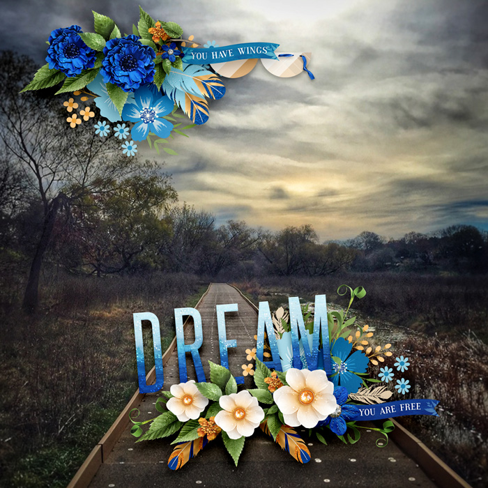 DreamsAreFree