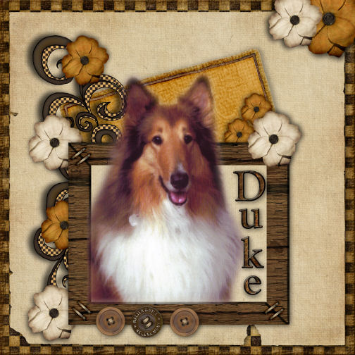 Duke_SAL_My_Precious_Sweethearts_Kresta