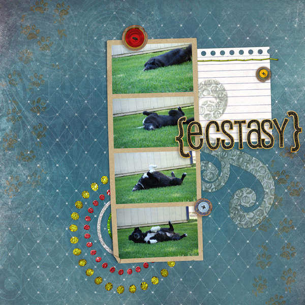 Ecstasy_dog