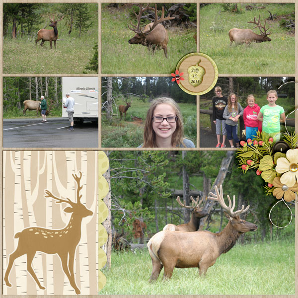 Elk2_July_15_2015_smaller