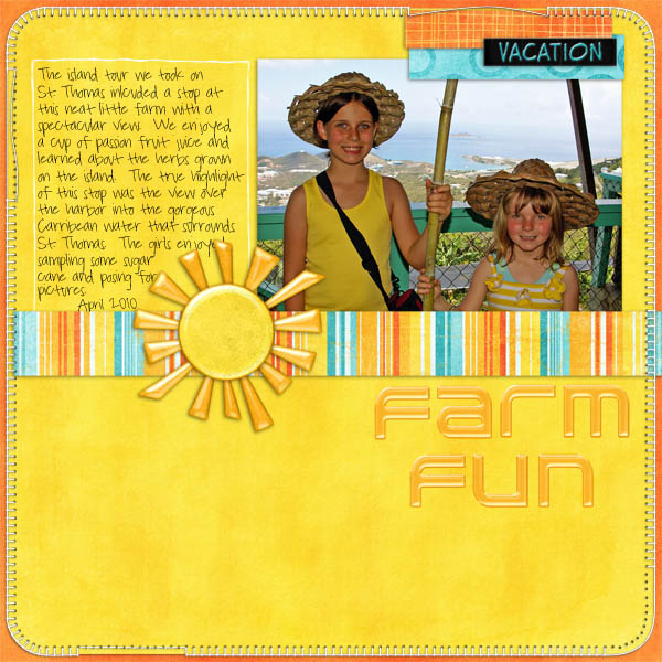 FARM_FUN_copy