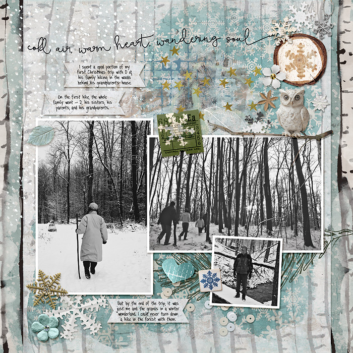 FDD---A-Treasured-Family---TS-Art-in-Nature-Winter-Woods-copy