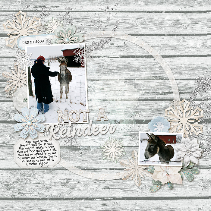 FDD---DecemBRR---SSD-White-Christmas-_-Every-Day-is-Joyful-copy