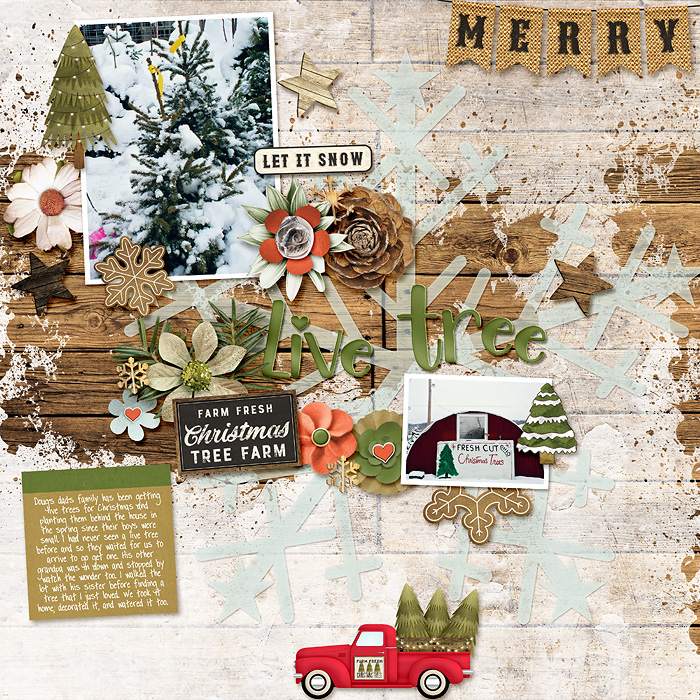 FDD---Snowflake-Joy---Flergs-Farmhouse-Christmas-_-SL-Merry-December-copy
