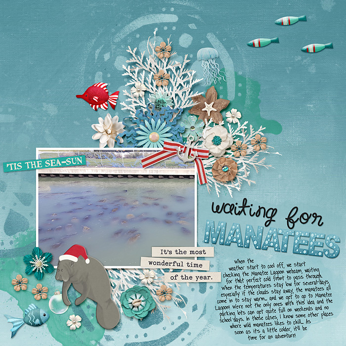 FDD---Today-is-Everything---Seaside-Christmas-copy