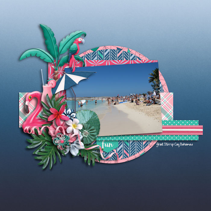 FLAMINGO_FLAIR