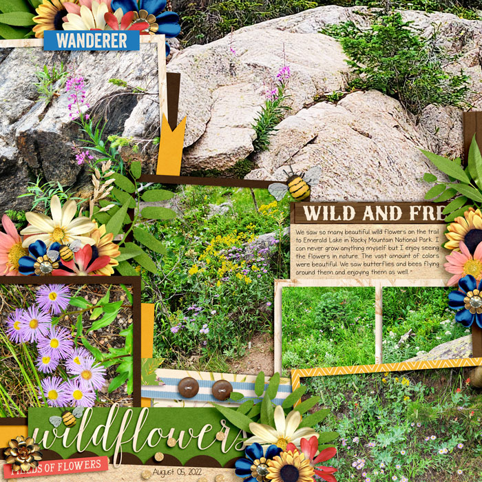 FLowersatLakeTrail22web