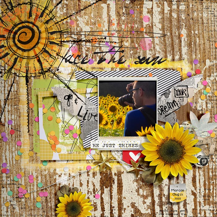 FaceTheSun_Dalis_700