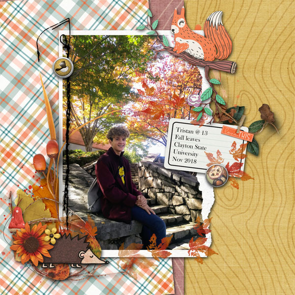 Fall_Nov_2018