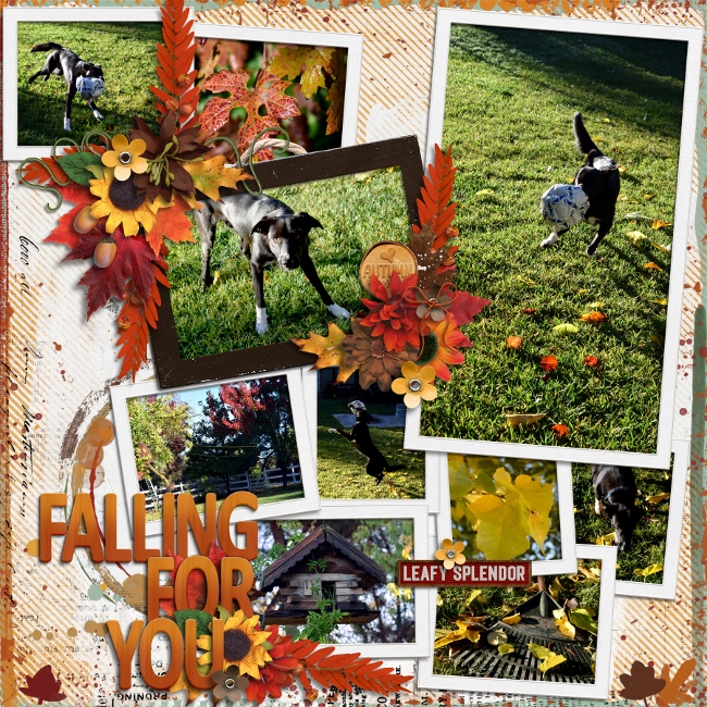 Familiy2017_FallingForYou_650x650_