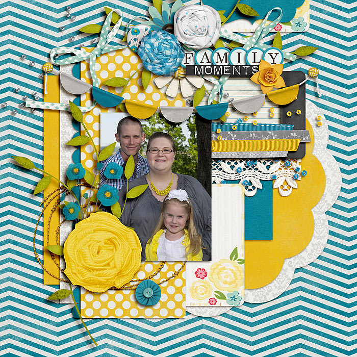 Family-Moments-700HR