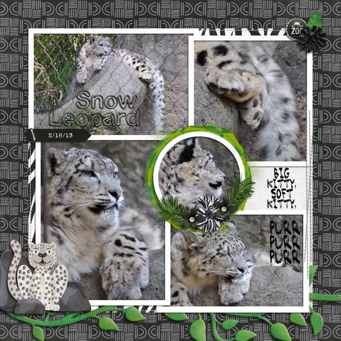 Family2013_SnowLeopard_700x700_