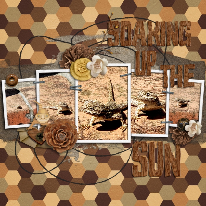 Family2019_SoakingtheSun_700x700_