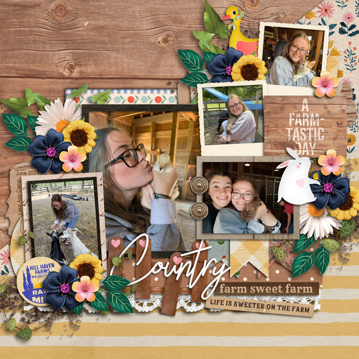 Farm_Sweet_Farm_Tam_Lake_Ann_June_2023_smaller
