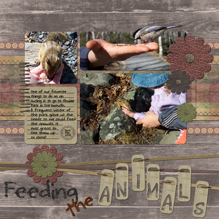 FeedingTheAnimalsLOSample