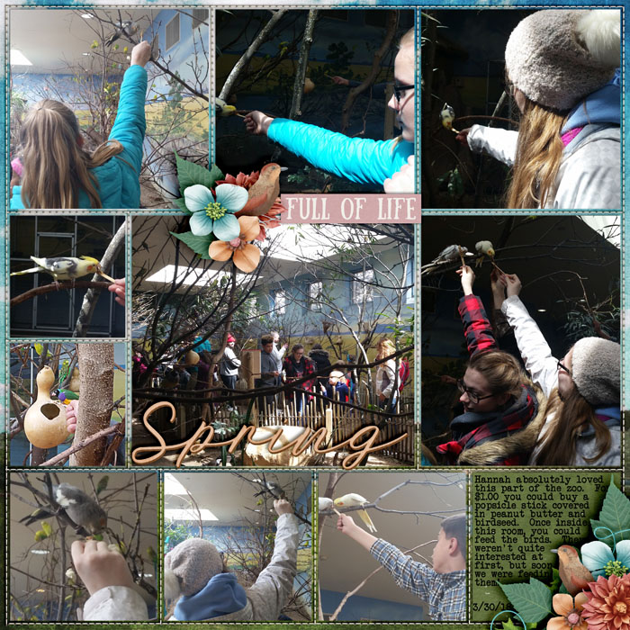 Feeding_Birds_Toledo_Zoo_March_2018_smaller