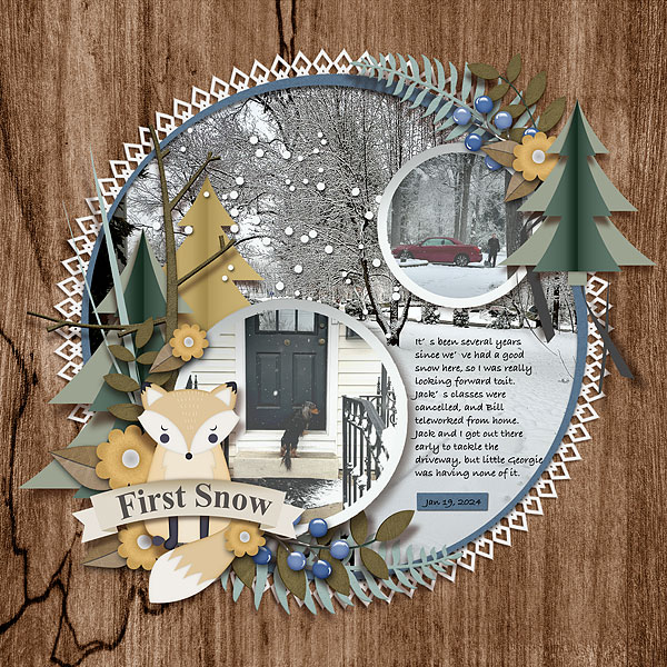 FirstSnowWeb2