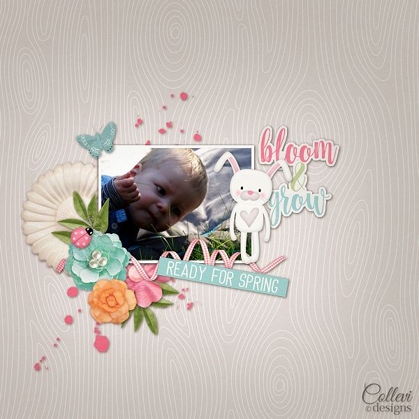 First_bloom1
