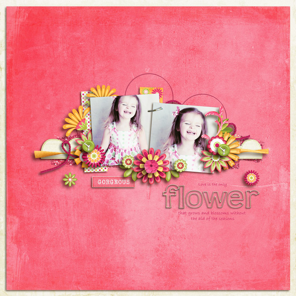 FlowerWeb