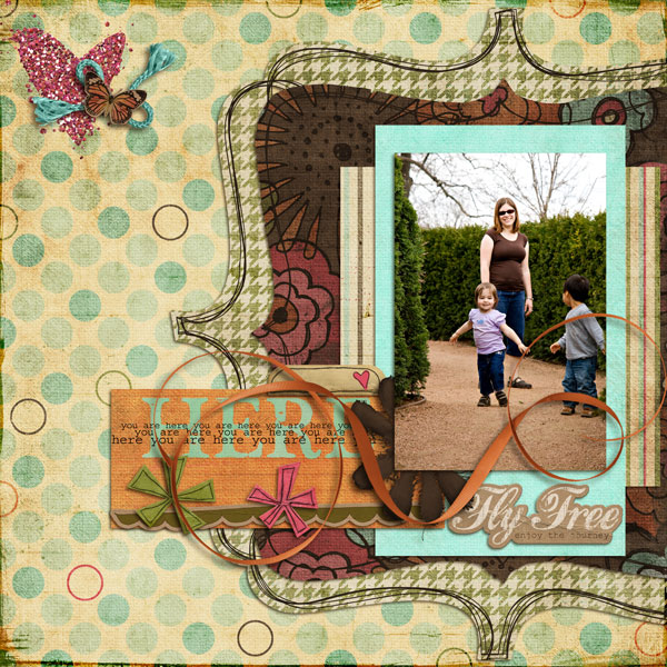 Fly-Freeweb