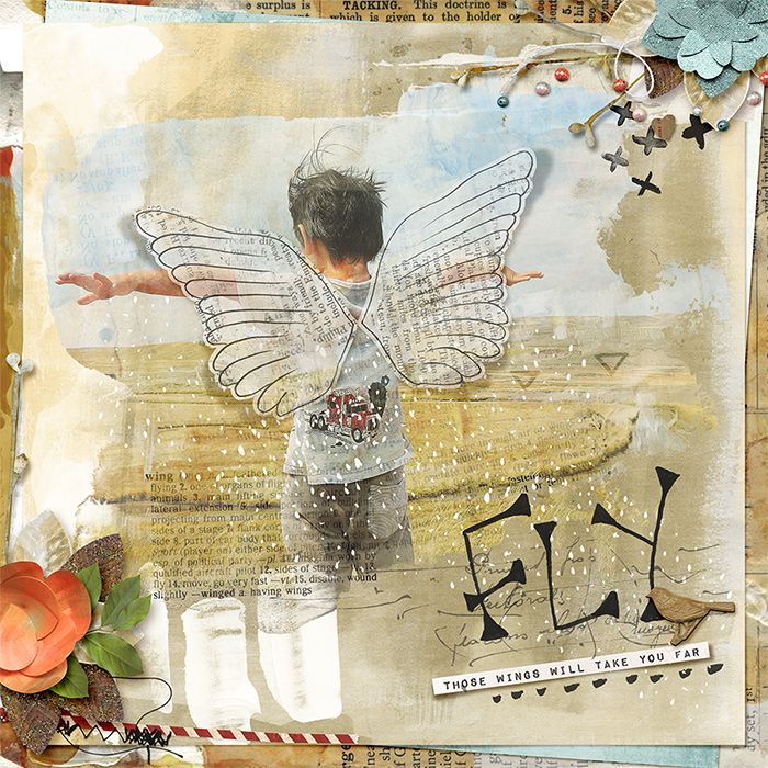 Fly13